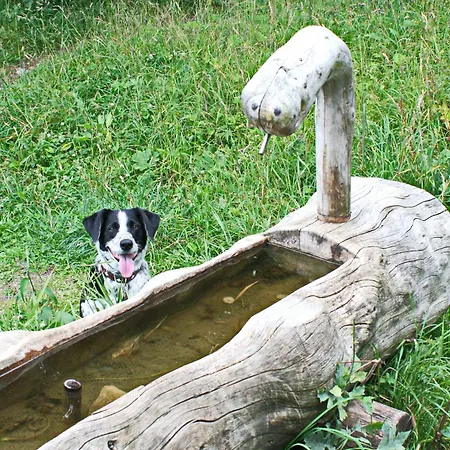 Restaurant Du Marchairuz