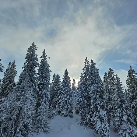 Restaurant Du Marchairuz Gasthof *