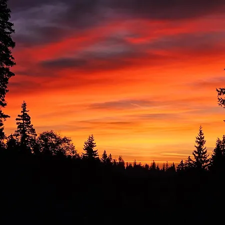 Restaurant Du Marchairuz Maison d'hôtes Le Brassus