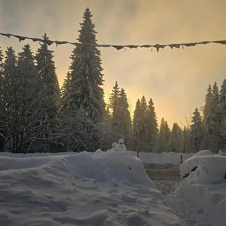 Restaurant Du Marchairuz Maison d'hôtes *