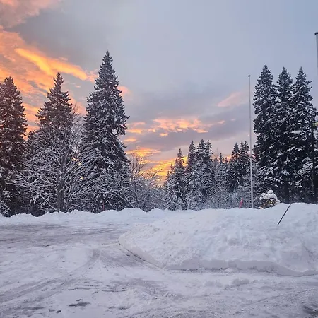 Restaurant Du Marchairuz 招待所