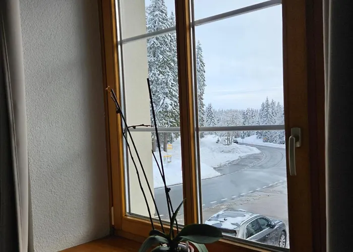 Restaurant Du Marchairuz 勒布拉索斯