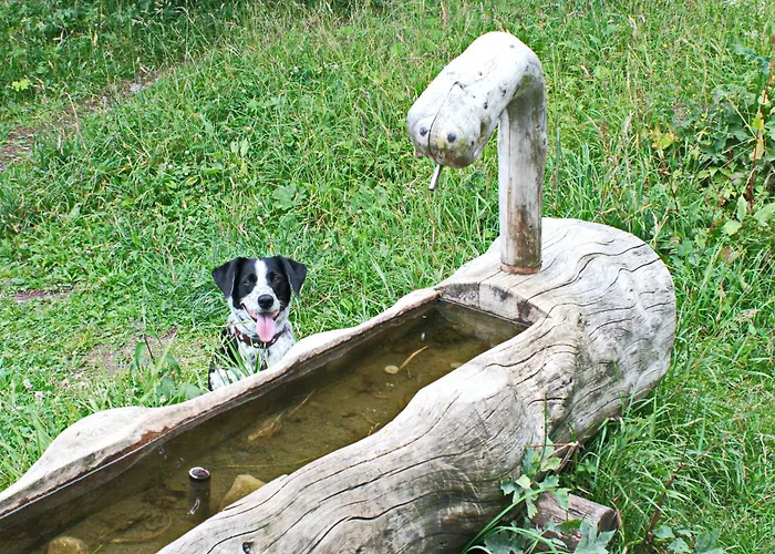 Restaurant Du Marchairuz