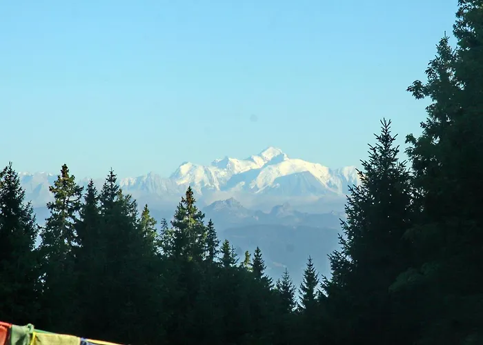 Restaurant Du Marchairuz Gasthof