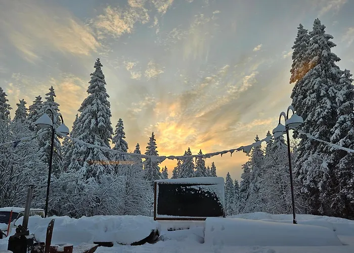 Restaurant Du Marchairuz 勒布拉索斯