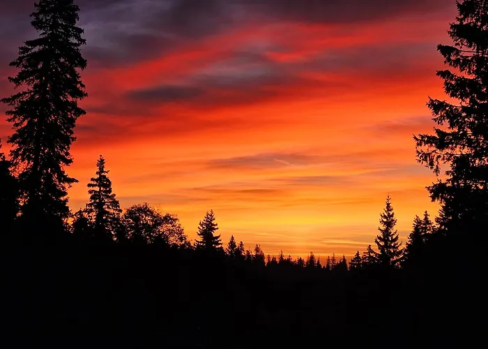 Restaurant Du Marchairuz 招待所 勒布拉索斯