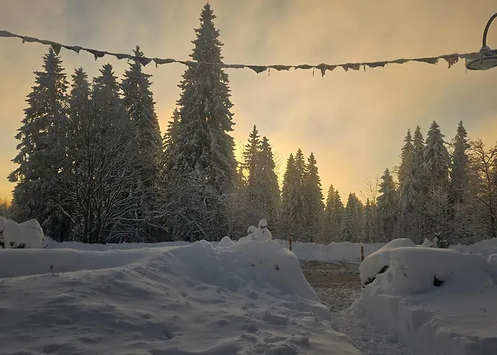 Restaurant Du Marchairuz Guest house *