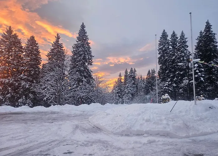 Restaurant Du Marchairuz Pensjonat