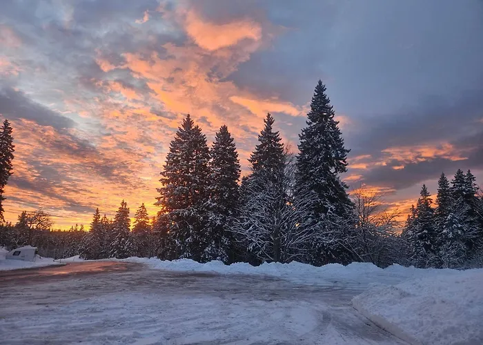 Pensjonat Restaurant Du Marchairuz Le Brassus