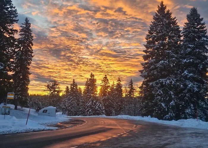 Restaurant Du Marchairuz Le Brassus