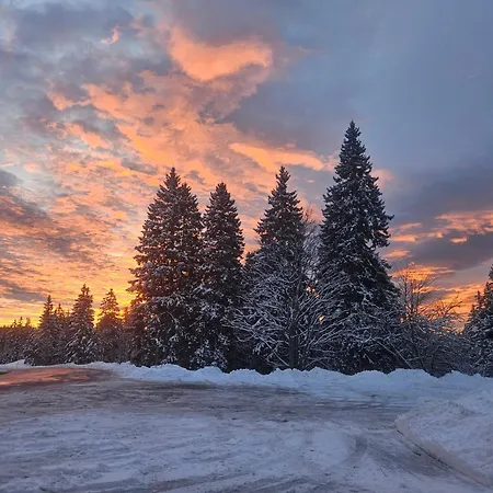 Gasthuis Restaurant Du Marchairuz Le Brassus