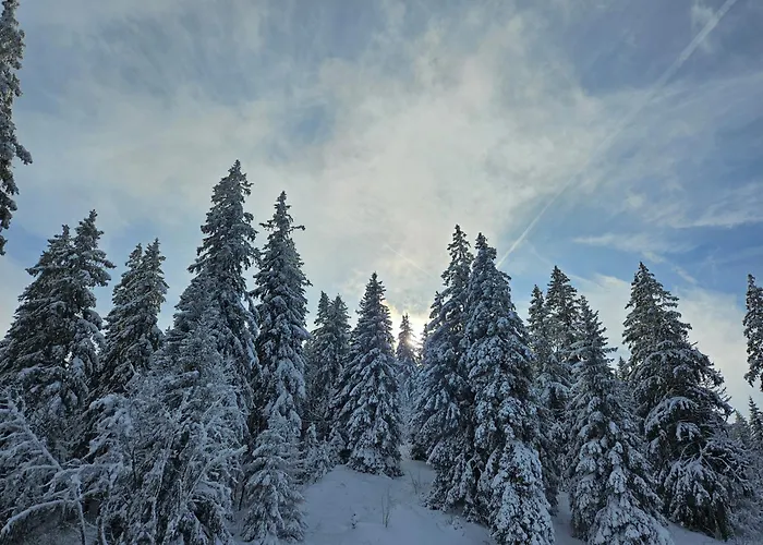 Restaurant Du Marchairuz Casa de hóspedes *